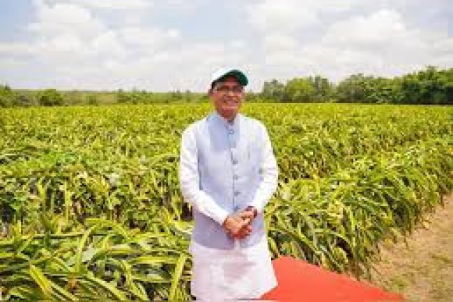 Central Government Approves Record Foodgrain Procurement Scheme for 2025-26