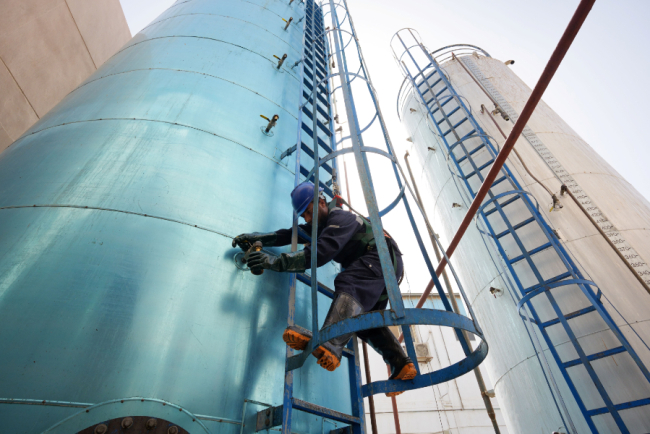 Egyptian Biofuel Firm Tagaddod Secures Investment to Boost Sustainable Feedstock Sourcing