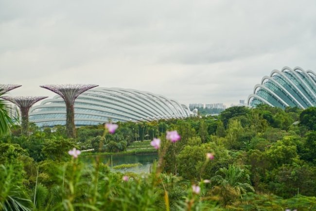 Singapore Expands Jurong For Green Energy Push