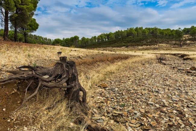 Brazil Achieves 11-Year Low In Amazon Deforestation