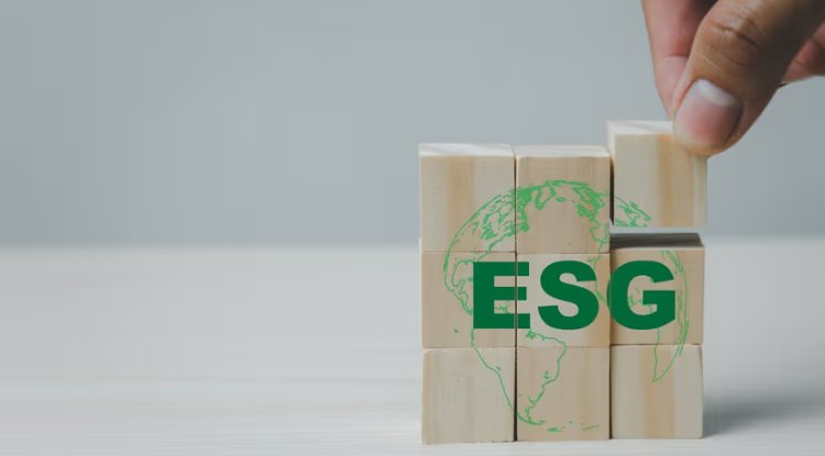 Political Backlash Drives Wedge Between US and European ESG Support