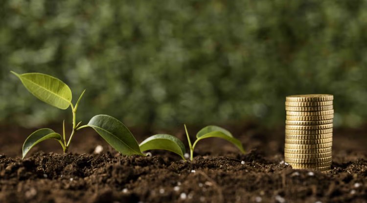 Sustainable Finance Activity Surges to €78.8 Billion in First Half, ING Reports