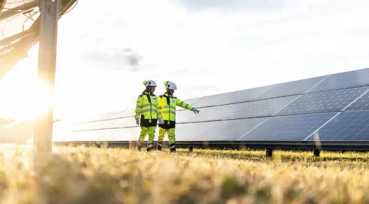 TotalEnergies Sells Half-Stake in Major US Solar Portfolio to Suntory