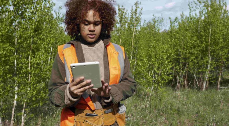 Unsupervised AI Revolutionises Forest Monitoring and Carbon Tracking with LiDAR