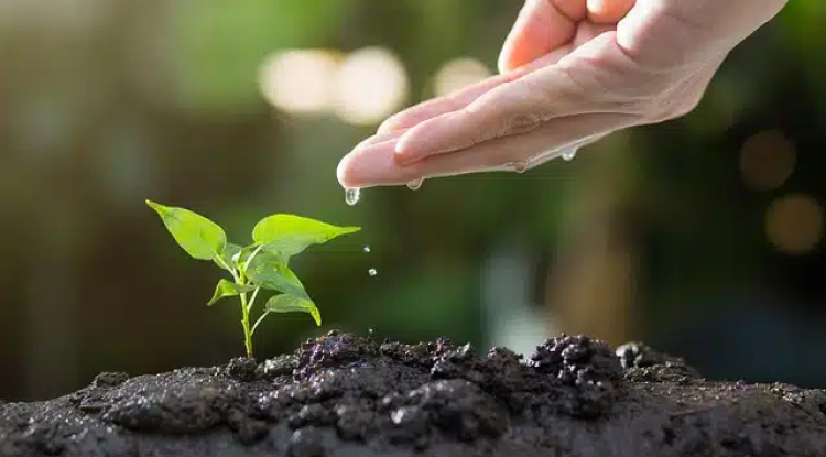 BIC Group Sets ESG Benchmark In Cambodia’s Corporate Sector