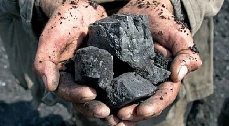 Commercial Coal Mining Launches in Arunachal, Bringing New Revenue and Energy Security