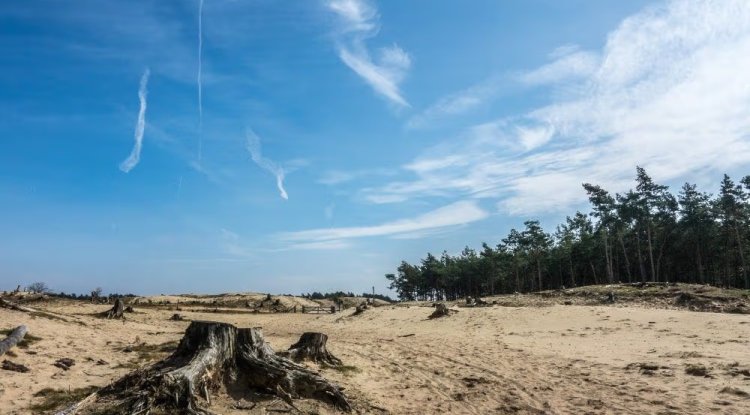 NAB Faces Regulatory Scrutiny Over Deforestation Links in Agri-Lending