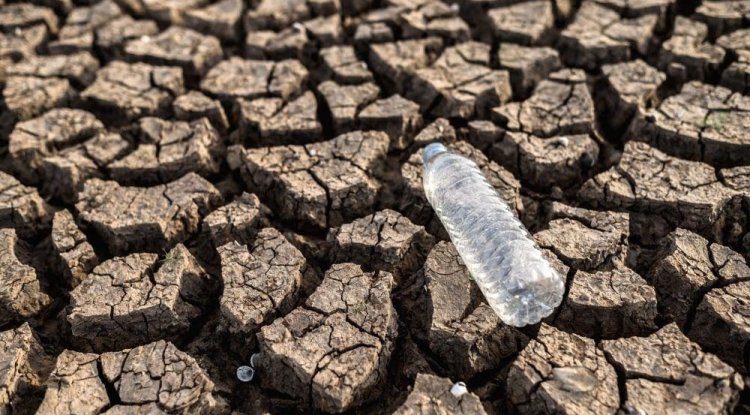 Climate Change Costs Have Soared Tenfold Since 2000s, Report Finds