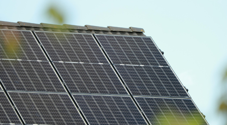 Terawatt Breaks Ground on Inaugural Solar Farm to Boost European Renewable Capacity