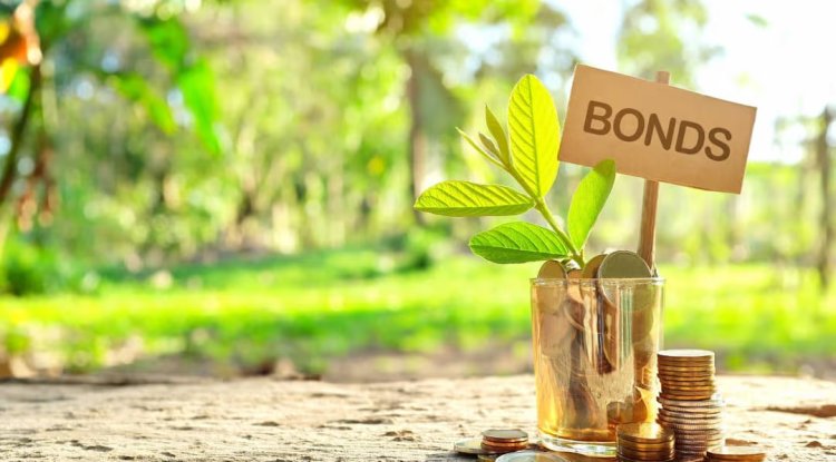 Hainan Province Raises RMB 7.5 Billion in Landmark Sustainability Bond Sale