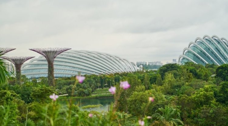 Singapore Expands Jurong For Green Energy Push