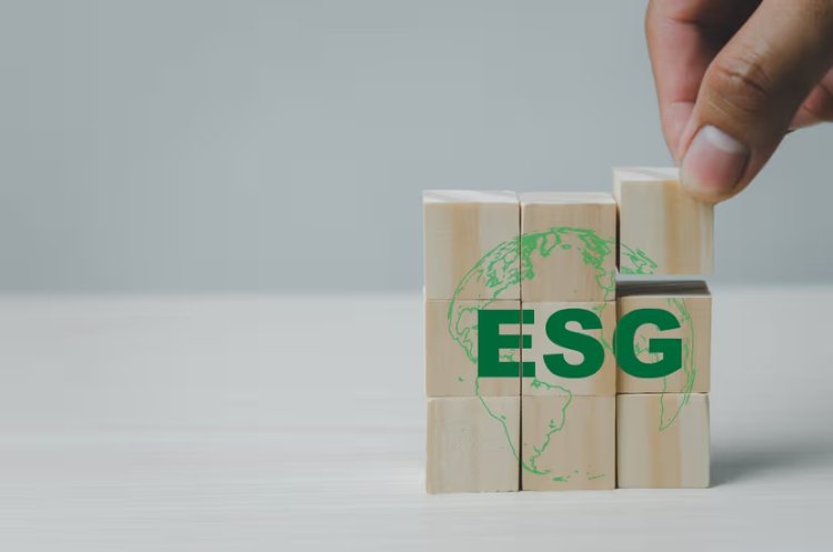 Political Backlash Drives Wedge Between US and European ESG Support