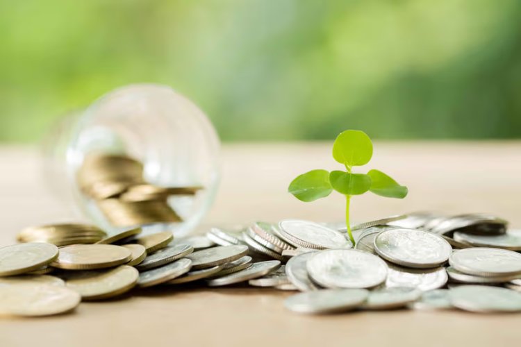 Emerging Markets Emerge as Pillar of Stability in Global Green Bond Surge