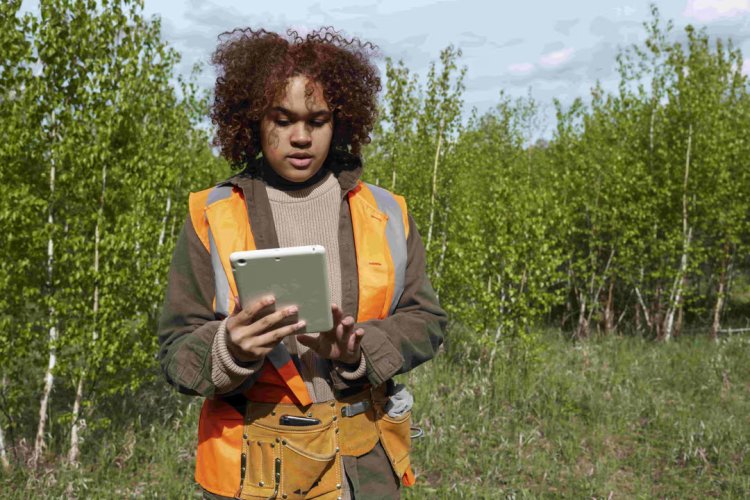 Unsupervised AI Revolutionises Forest Monitoring and Carbon Tracking with LiDAR