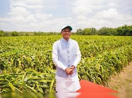 Central Government Approves Record Foodgrain Procurement Scheme for 2025-26