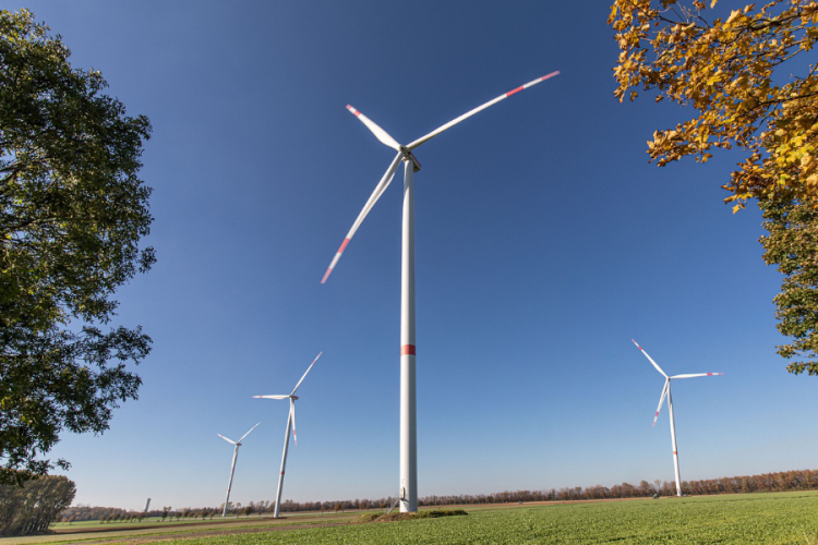 Germany's Renewable Power Capacity Set for Strong Growth Through 2035