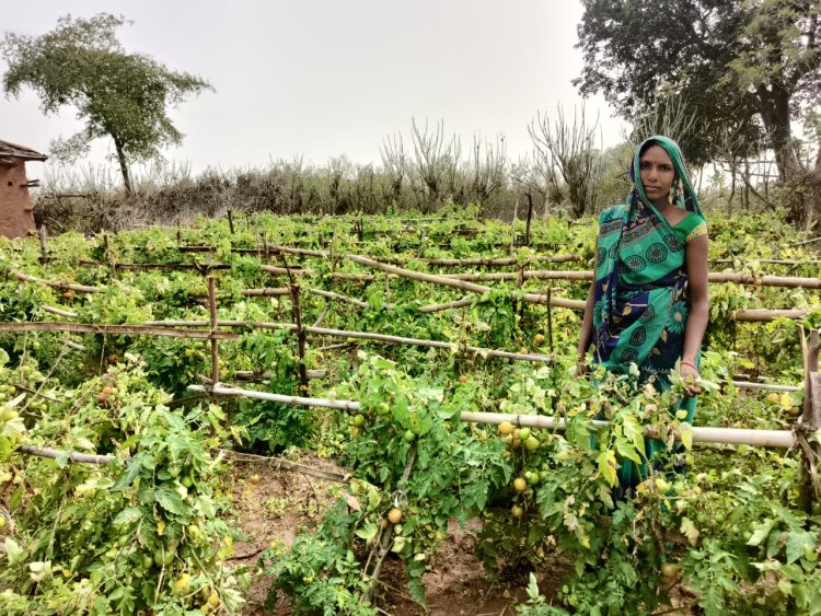 India Focuses on Rural Systems for Long-Term Food Security