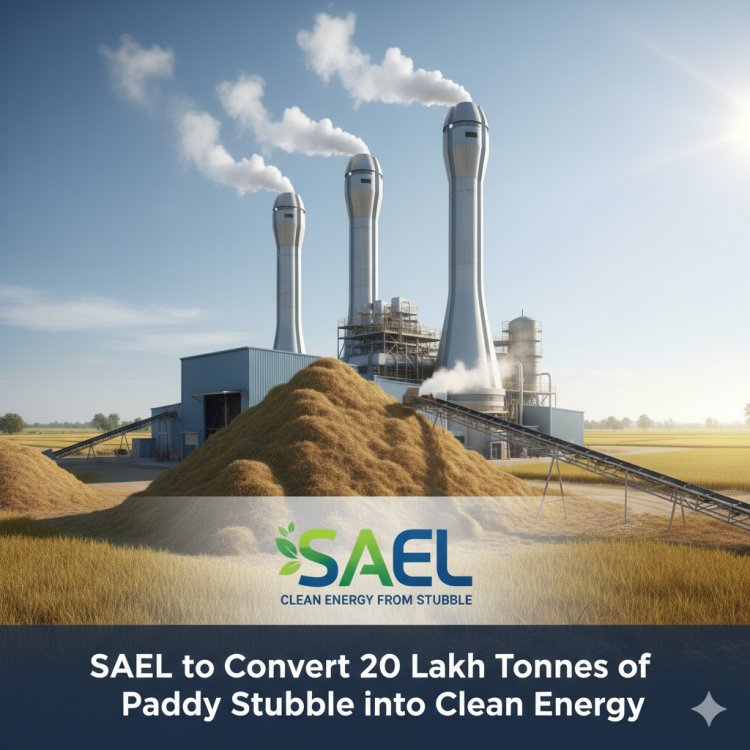 SAEL to Convert 20 Lakh Tones of Paddy Stubble into Clean Energy