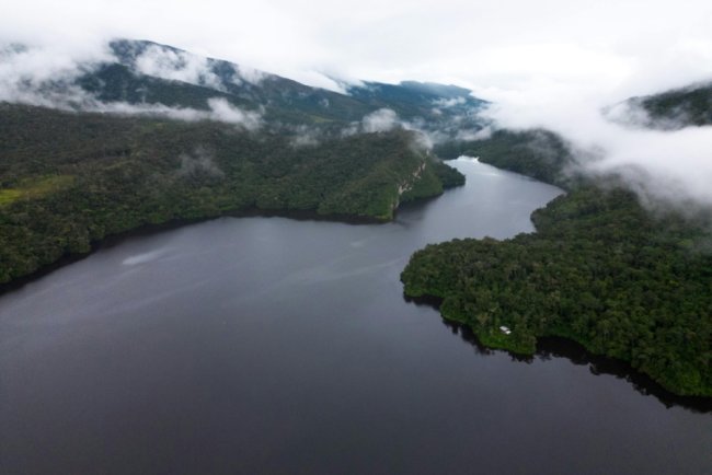 IDB Launches First Amazonia Bond to Fund Sustainable Development in the Rainforest