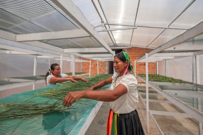 Business Case for Climate Adaptation Strengthening, Reports UN Fund