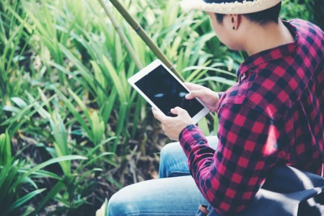 Microsoft And Land O’Lakes Advance AI In Agriculture