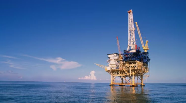 Singapore's Carbon Tax Concessions for Petrochemical Giants Spark Debate