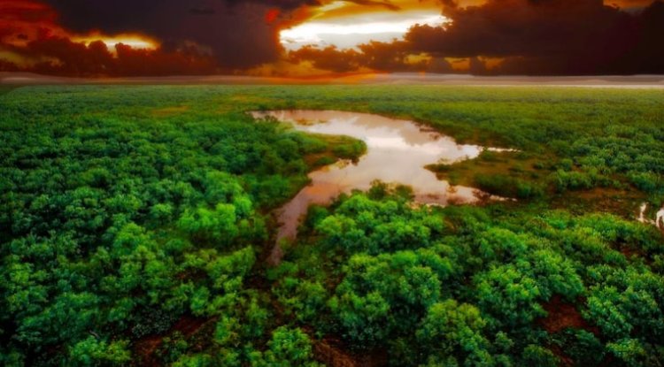 IDB Launches $100 Million Amazonia Bond Initiative