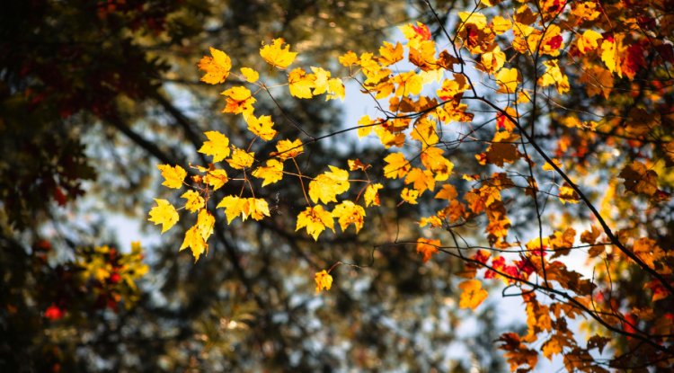 2025 Predicted to Rank Among Top Three Warmest Years