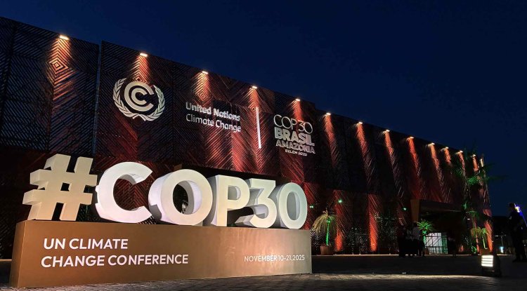 Countries Unite to Build Fair and Transparent Carbon Market