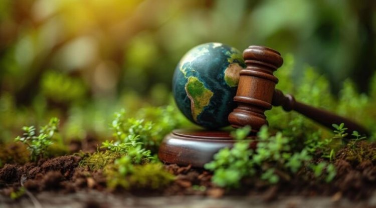 California Court Halts Climate Risk Disclosure Law