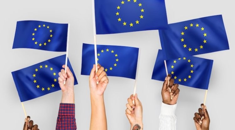 EU Ombudsman Flags Flawed Process in Sustainability Rule Cuts