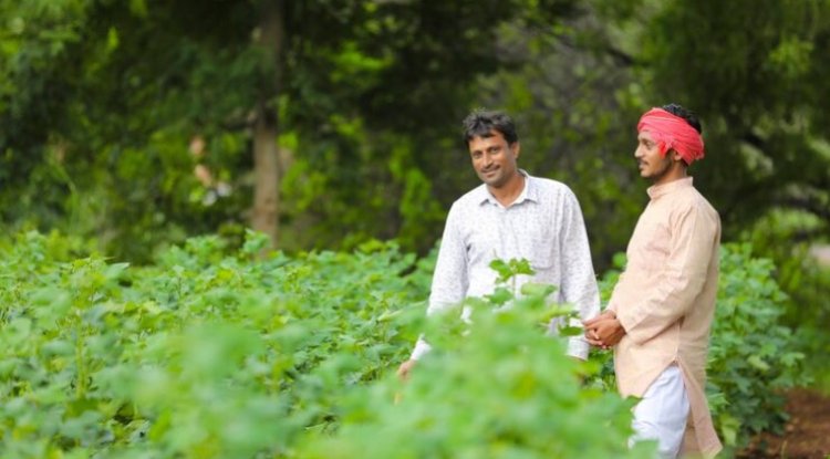 Varaha Secures $30 Million to Expand Regenerative Farming in India