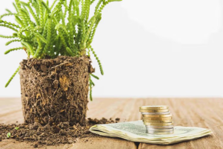 Sustainable Debt Market Evolves with New Trends in Green and Social Financing