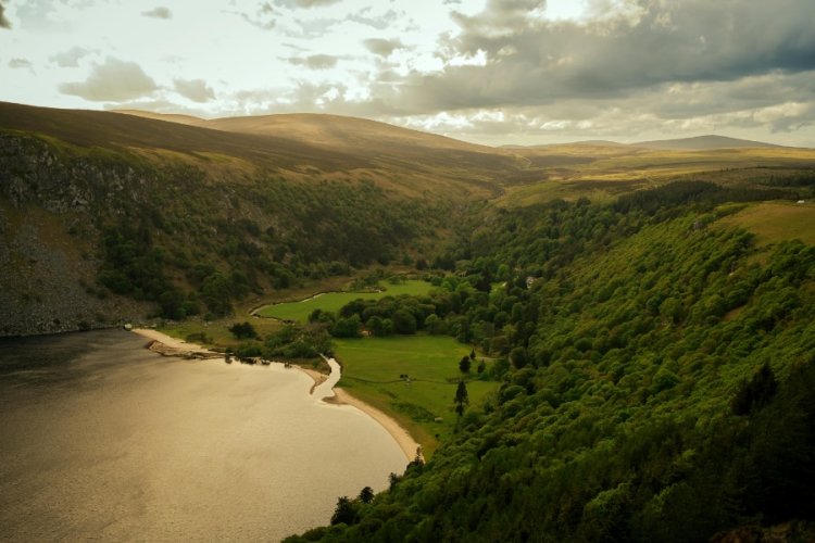 Ireland Falling Short on Biodiversity Goals, Official Review Finds