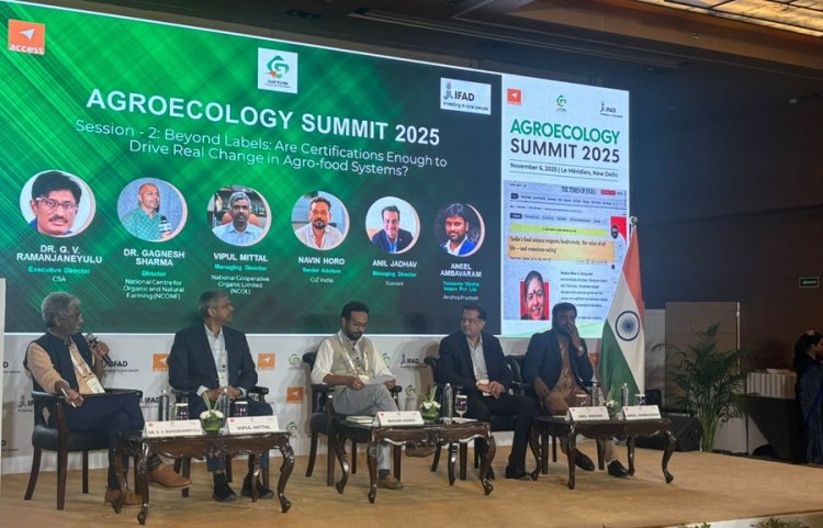 India’s Organic Shift Stumbles on Trust and Certification Gaps