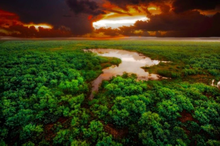 IDB Launches $100 Million Amazonia Bond Initiative