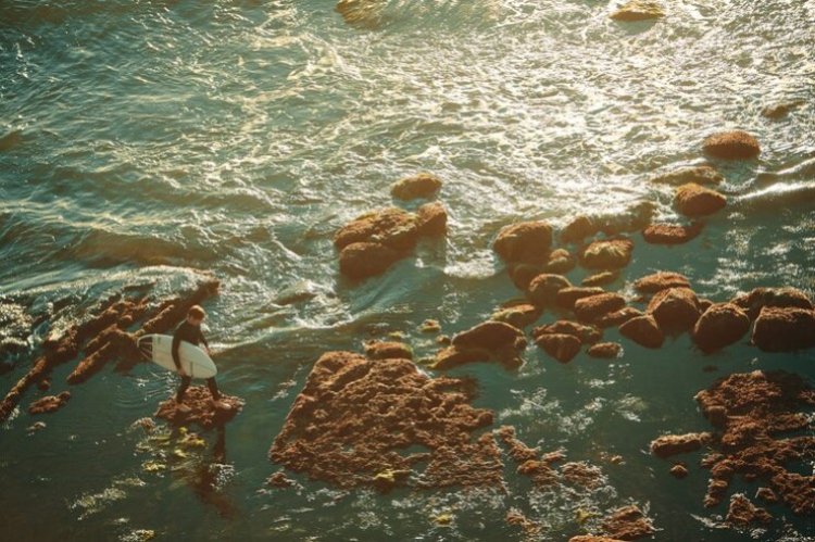 Decline Of Marine Viruses In Mediterranean Sea