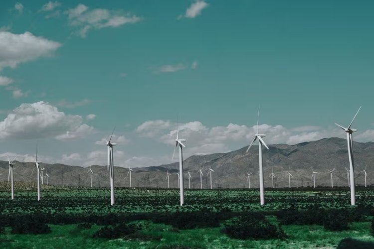 Global Renewable Energy Capacity Set to Triple by 2030, Led by China