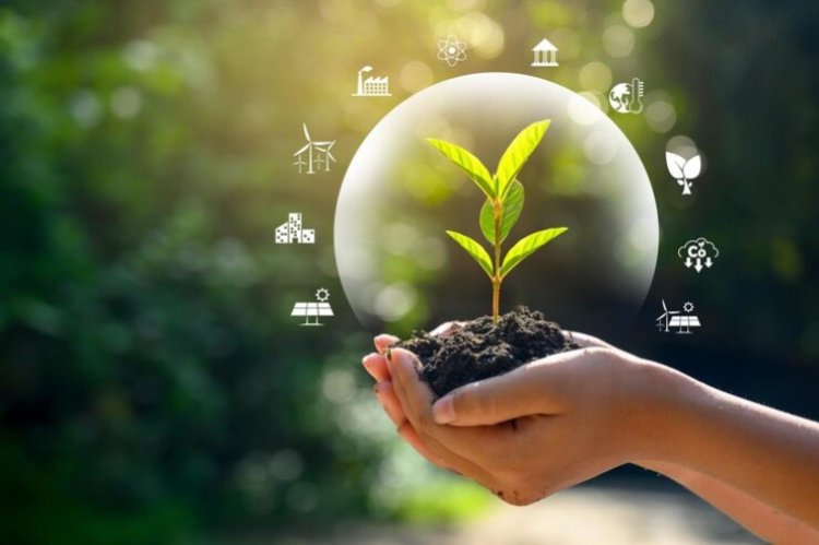 DHL And Phillips 66 Seal Major West Coast SAF Deal