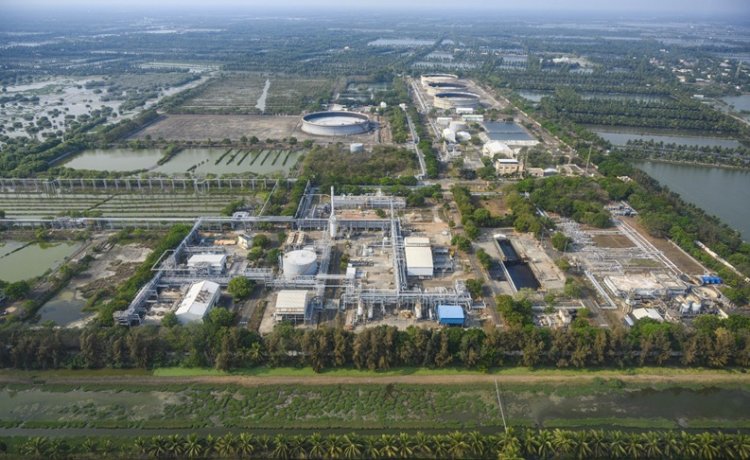 Cairn Cuts 89,770 Tn CO₂ in FY25, Equal to 4.5 Mn Trees