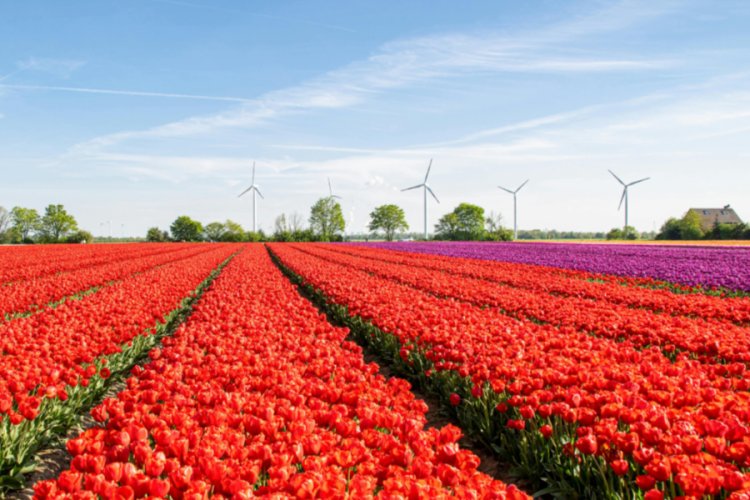 Majority of Countries Poised to Meet Key Clean Power Milestone