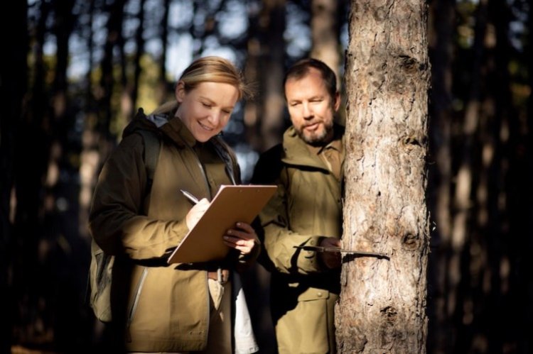 EU Delays Deforestation Supply Chain Law With Easier Rules