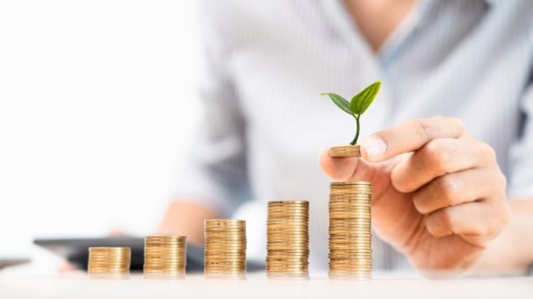 BII Invests $150M in FirstRand to Drive Industrial Decarbonisation