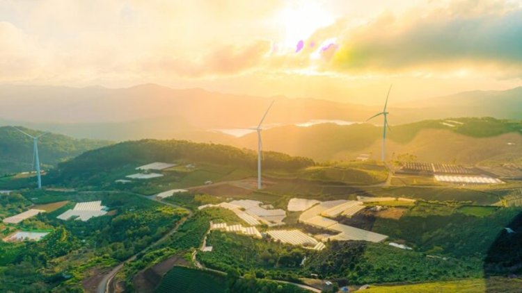 Vietnam Strengthens Position as Asia’s Emerging Green Transition Hub