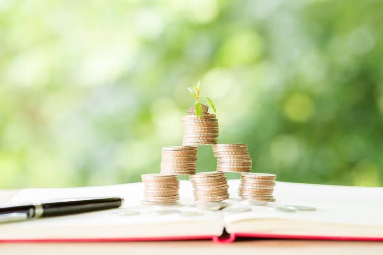 World's First Tool to Compare Global Green Finance Taxonomies Launches