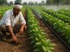 India Expands Natural Farming and Micro-Irrigation Efforts