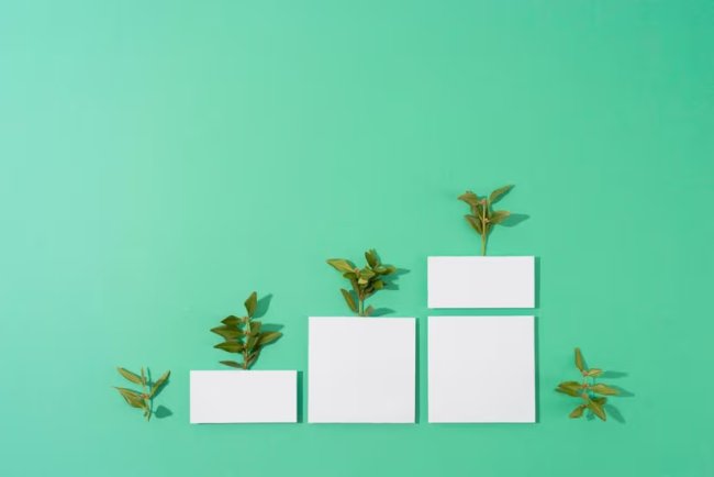 Freedom Holding Corp Publishes ESG Report Highlighting Education and Environmental Commitments