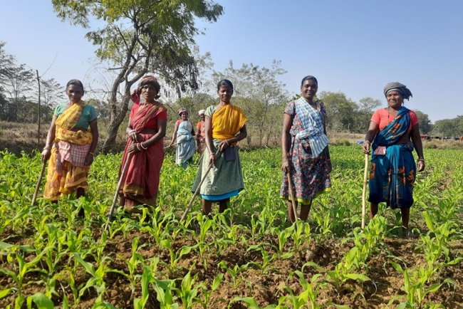 Rural India’s Energy Shift Deepens in 2025 as Adoption & Partnerships Grow