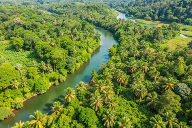 Germany Pledges €1 Billion to Brazil for Amazon Rainforest Protection
