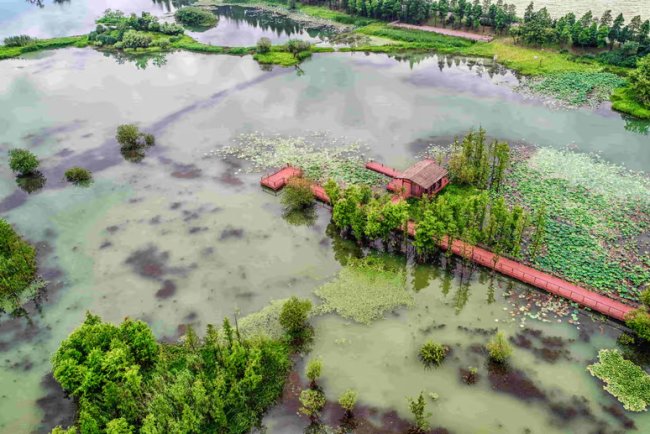 Thailand Floods Threaten Global Rubber Supply, Slashing Output by Up to £110 Million